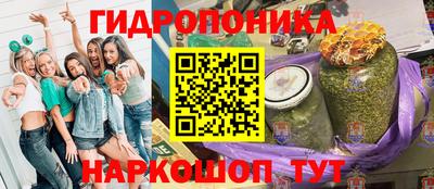 PSILOCYBIN Балахна